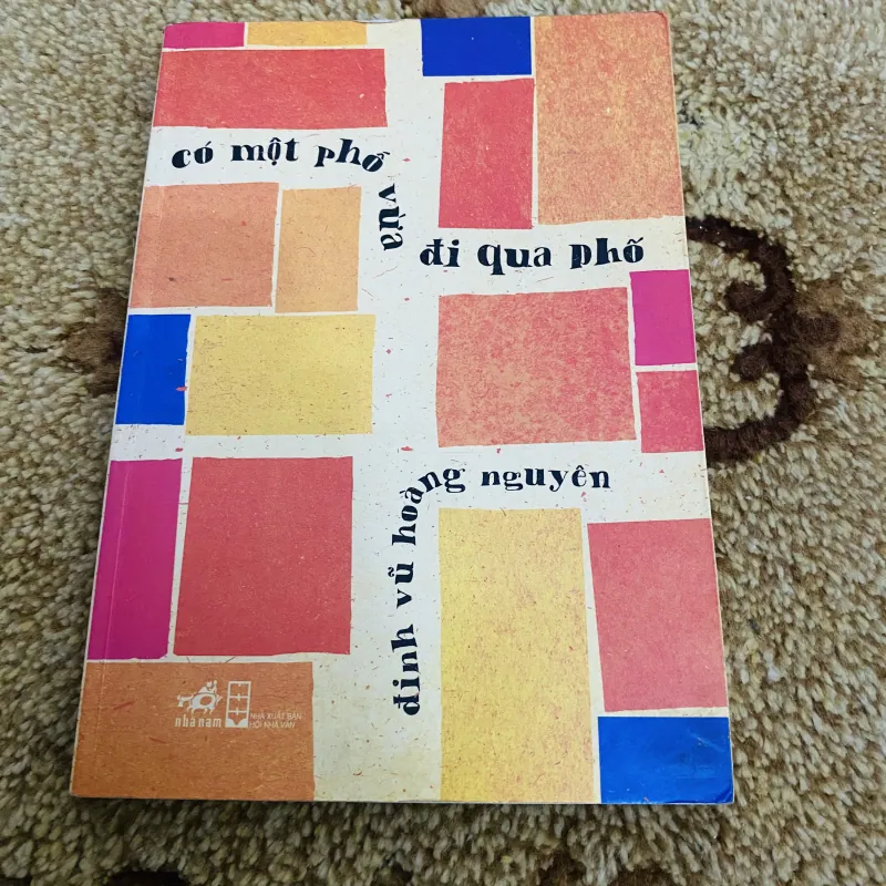 Có một phố vừa đi qua phố - Đinh Vũ Hoàng Nguyên 972207