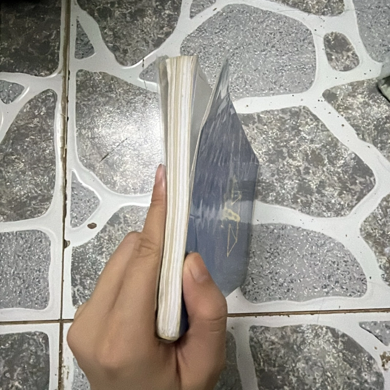 [luật] Bộ luật Hình sự 1999 sửa đổi 2009 299933