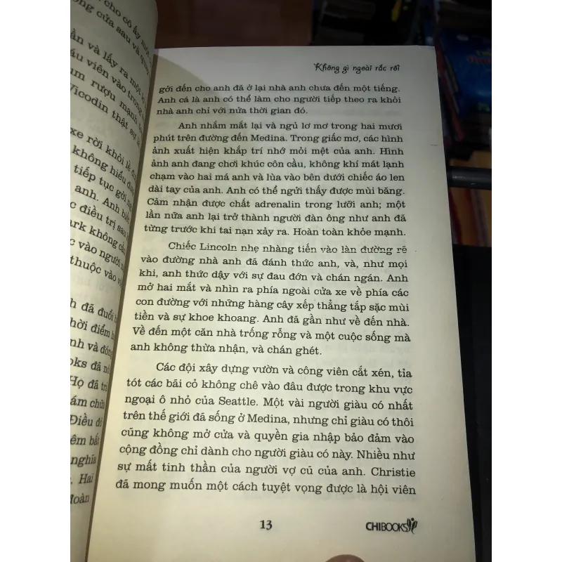 Không gì ngoài rắc rối - Rachel Gibson 975497