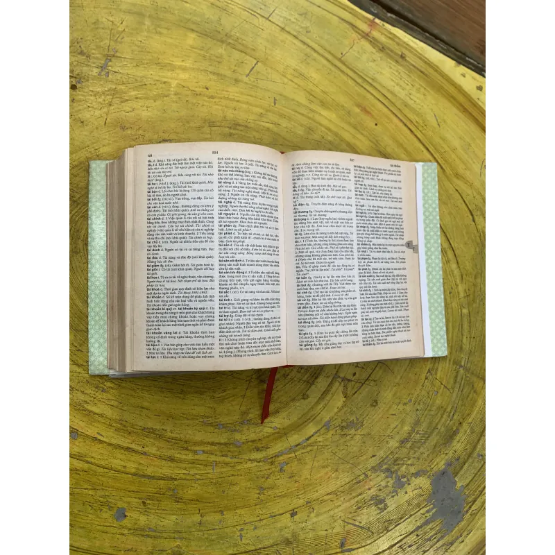 TỪ ĐIỂN TIẾNG VIỆT - VIỆN NGÔN NGỮ HỌC 799943