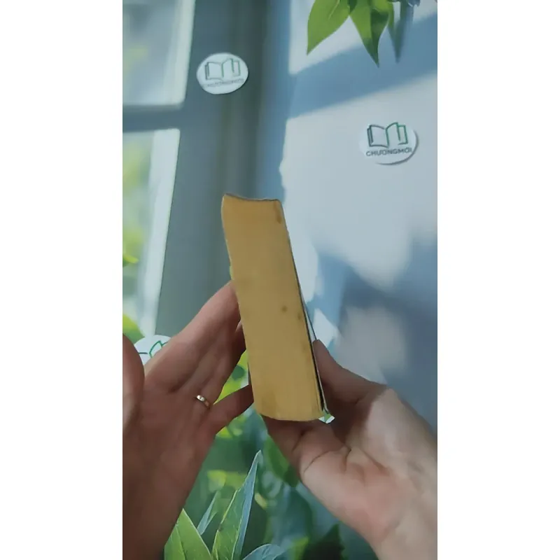 [MIỄN PHÍ BỌC SÁCH] [XƯA] The Concrete Blonde (1994) - Michael Connelly 1027611