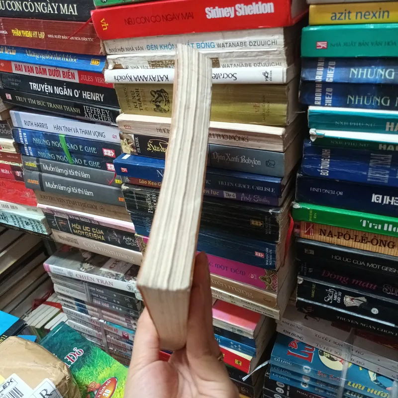 Một Cuộc Đời- Guyde Maupassant 692830