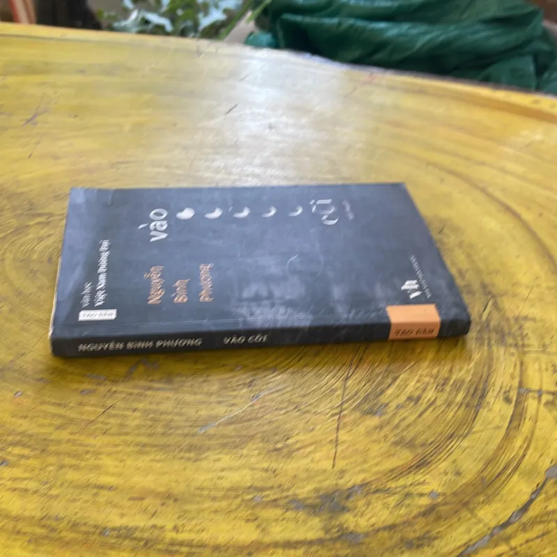 VÀO CÕI - NGUYỄN BÌNH PHƯƠNG 1002510