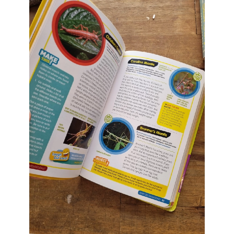 INSECT : National Geographic - Libby Romero 164764