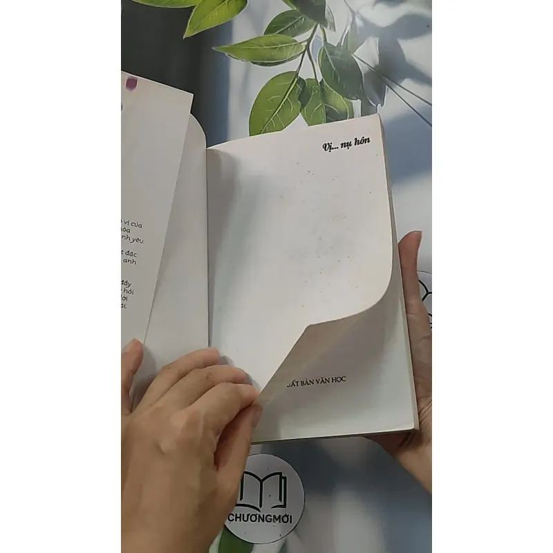 Vị nụ hôn 688654