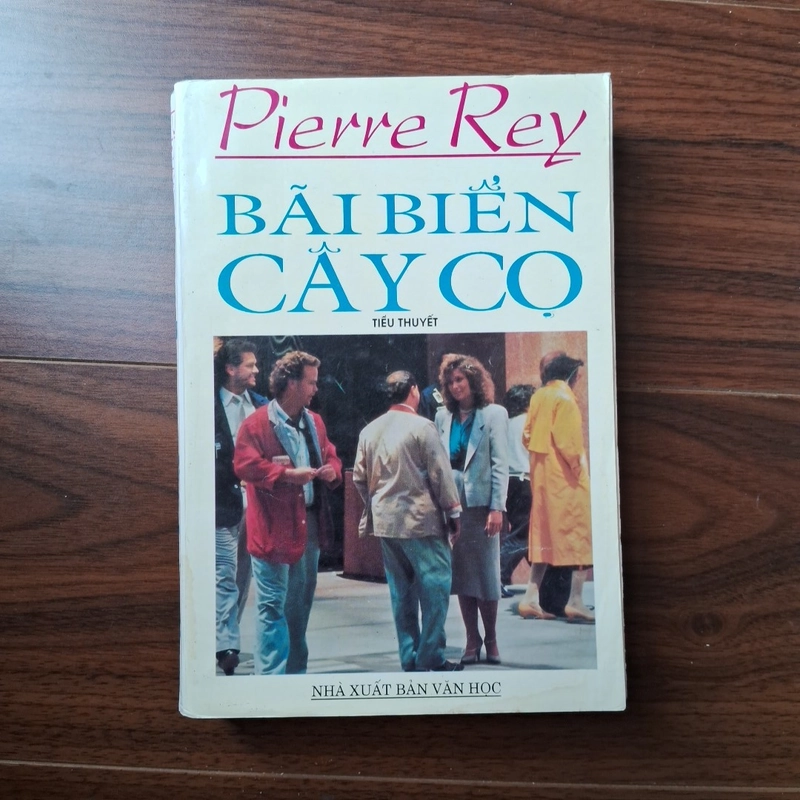 Bãi biển cây cọ 505905