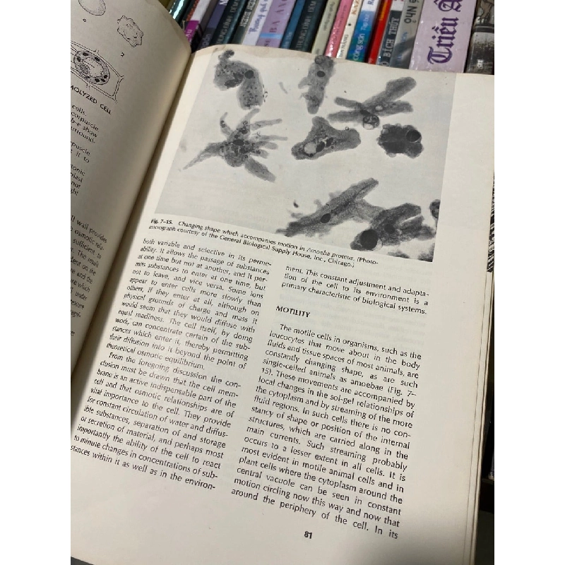 The Principles of General Biology, 2nd edition - Gardiner and Flemister 738480