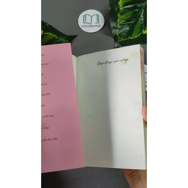 Quà tặng cuộc sống - Nhiều Tác Giả 604633