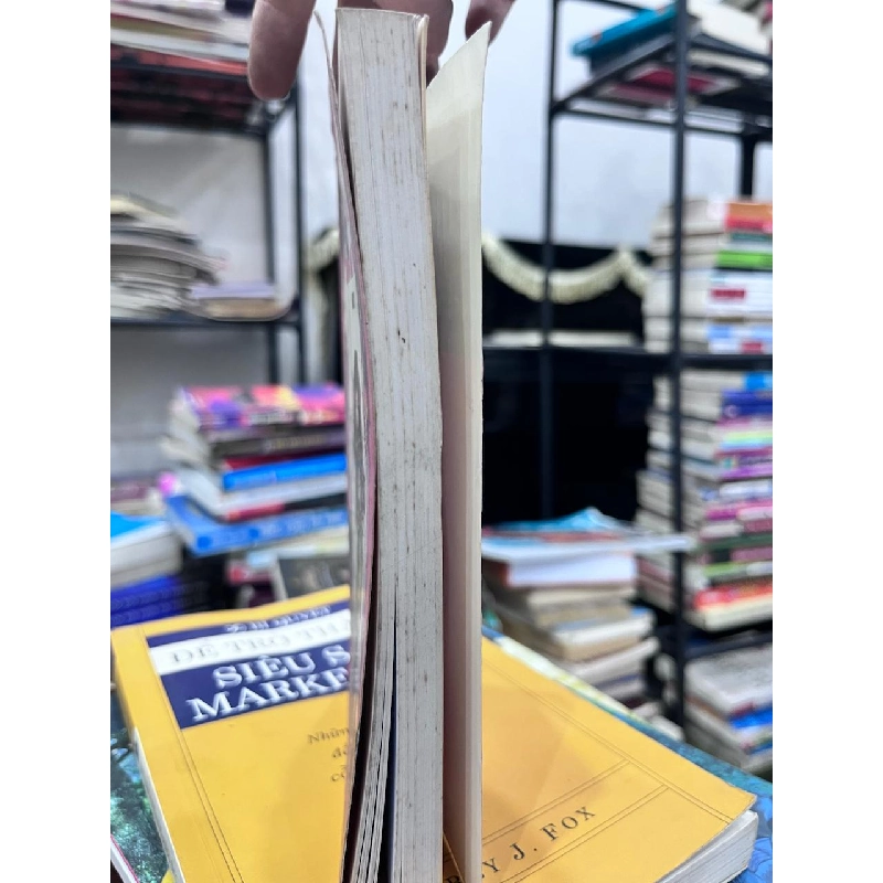 Bồ Câu Chung Mái Vòm - Dương Thụy 934280