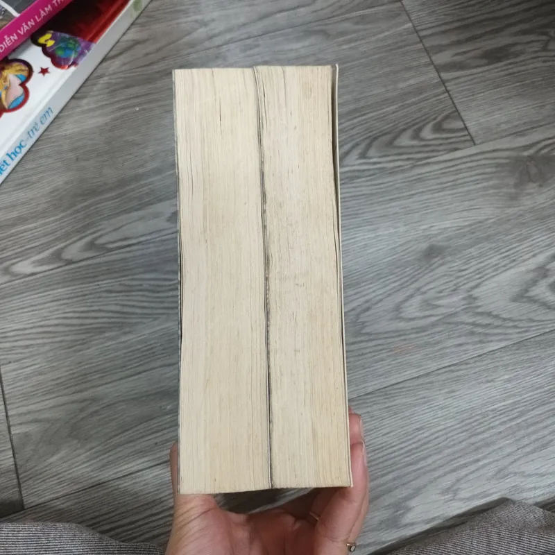 Thăng Long Ký Tiểu Thuyết Lịch Sử Của Nguyễn Khắc Phục 646816