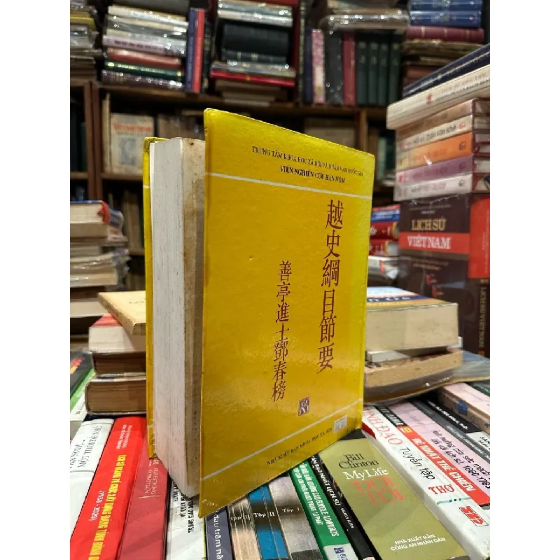 Việt Sử cương mục thiết yếu - Đặng Xuân Bảng 629008