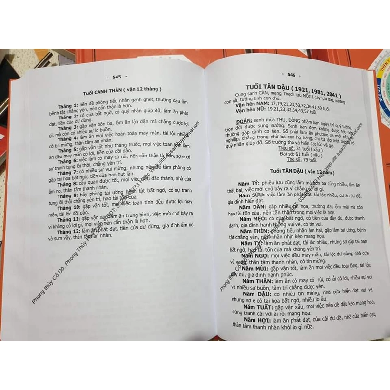 Tử vì tổng hợp  383846