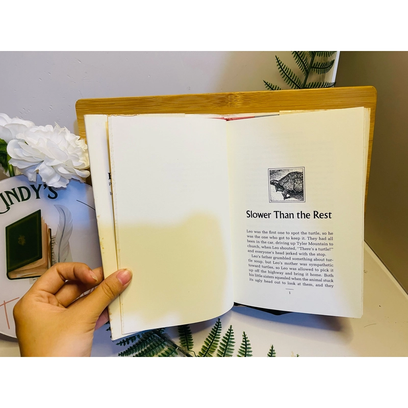 [Sách tiếng Anh 2hand] Like new 90% - Every Living Thing - Cynthia Rylant 504521
