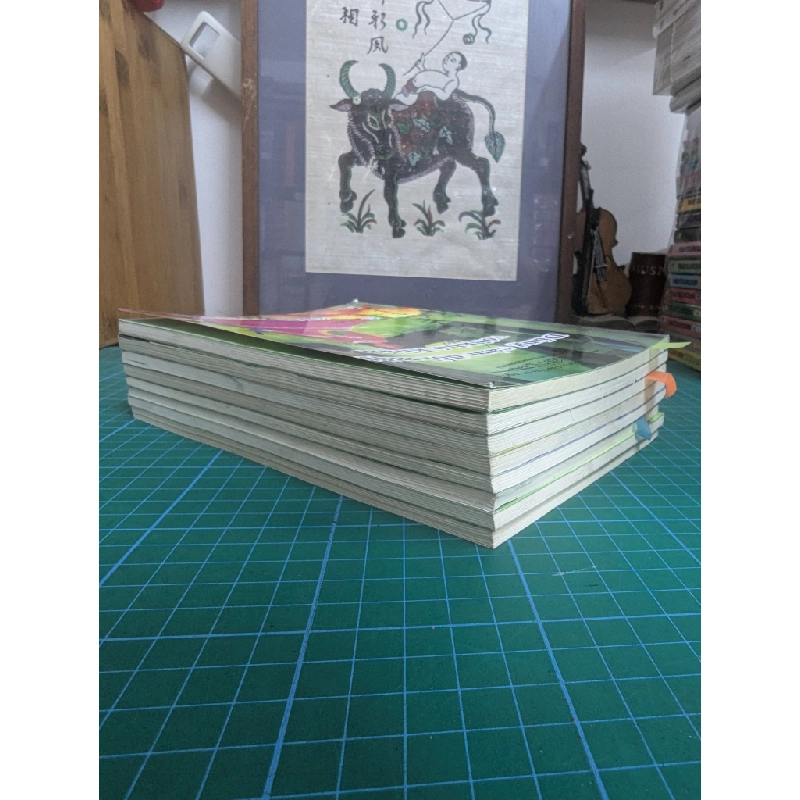 Nhật ký trưởng thành của đứa trẻ ngoan (Bộ 10 cuốn, có hộp) - Trương Cần 427112