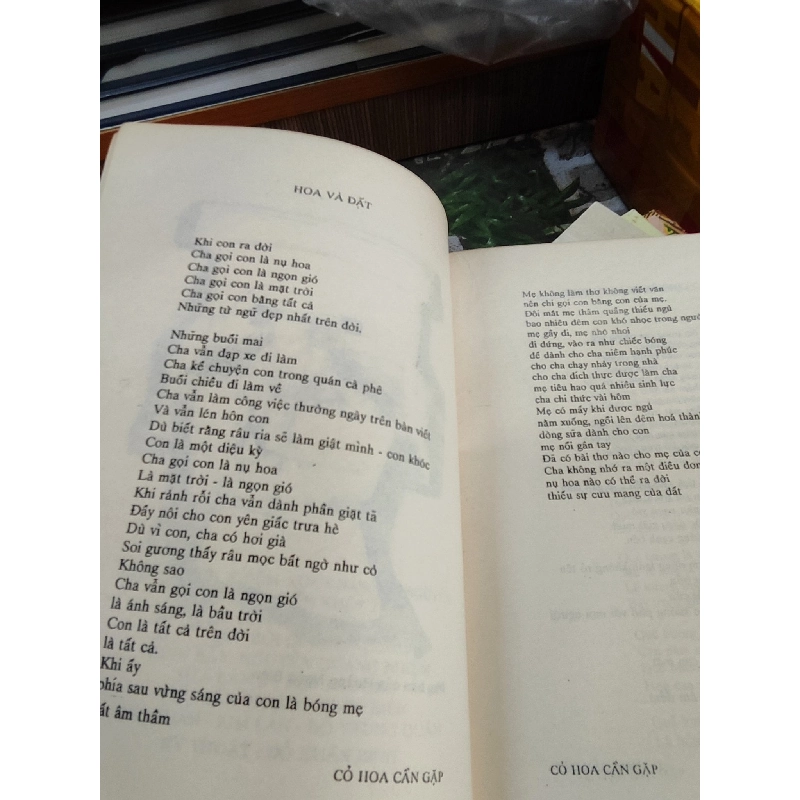 Cỏ hoa cần gặp và những bài thơ khác từ 1985 đến 1991 - Đỗ Trung Quân 1028039