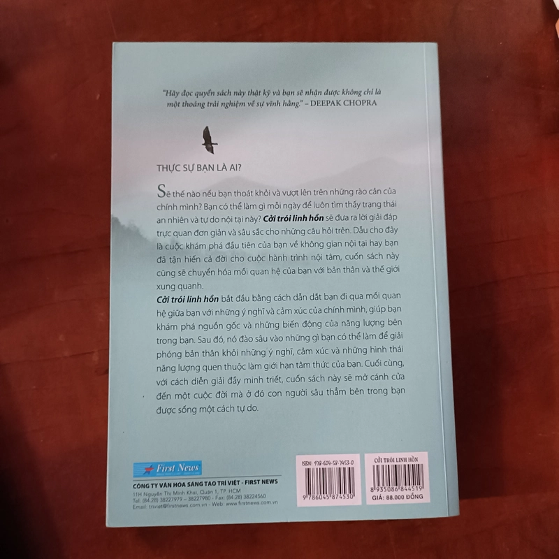 Cởi trói linh hồn - Michael A. Singer 479706