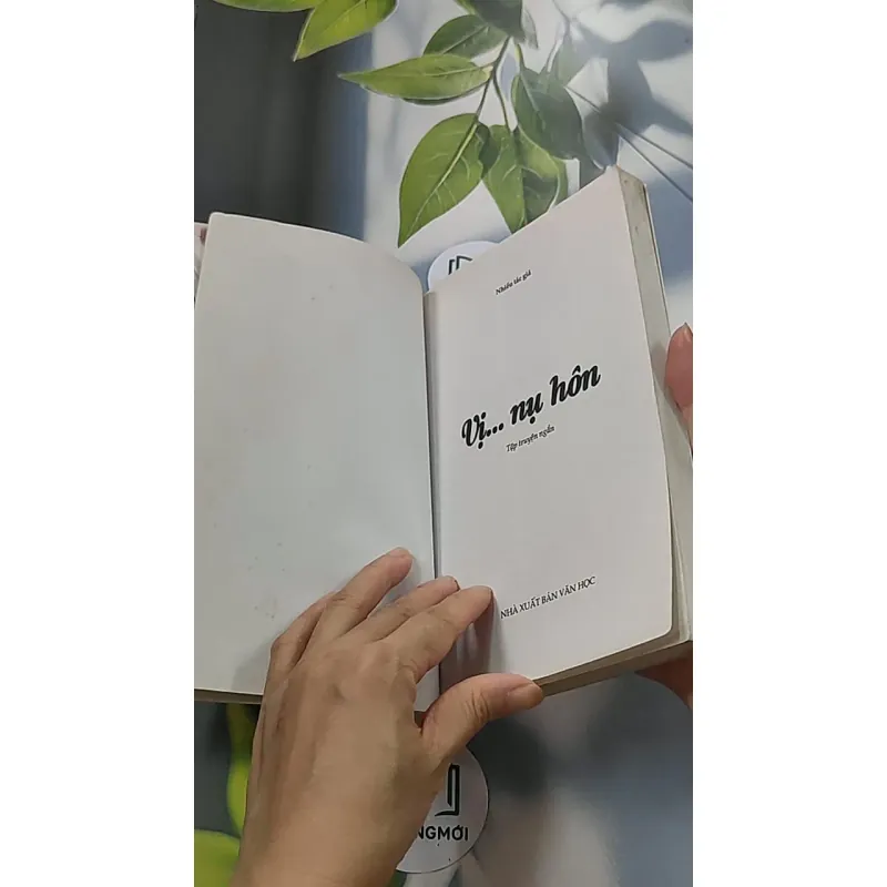 Vị nụ hôn 688654