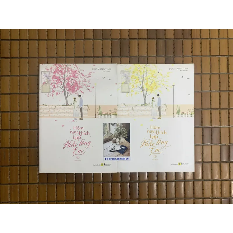 Hôm nay thích hợp phải lòng em 455318