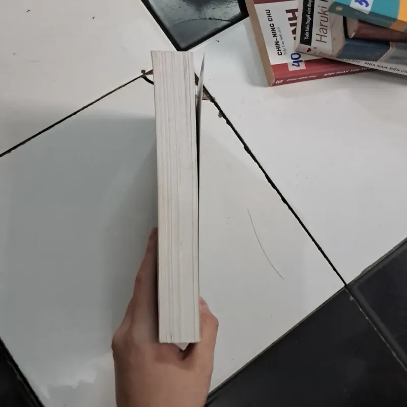 Người tình tuyệt vời 1020484