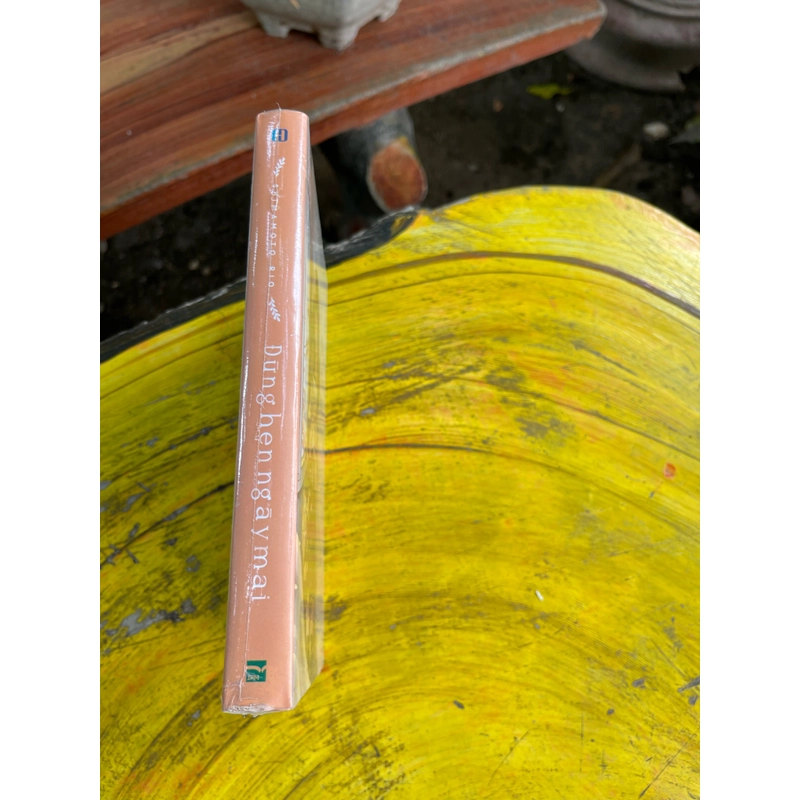 ĐỪNG HẸN NGÀY MAI- SHIMAMOTO RIO 477506