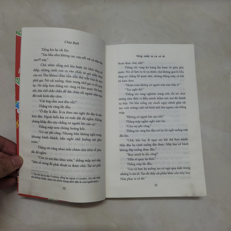 Tiểu thuyết Chúa Ruồi 453340