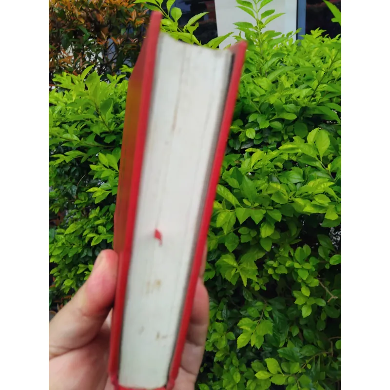 Bản đồ và vùng đất tiểu thuyết của Michel Houellebecq 960774