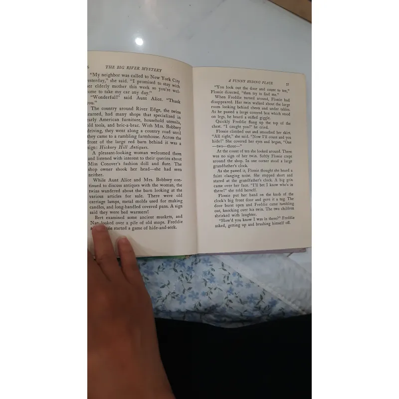 The bobbsey twins and the big rivers mystery 930936