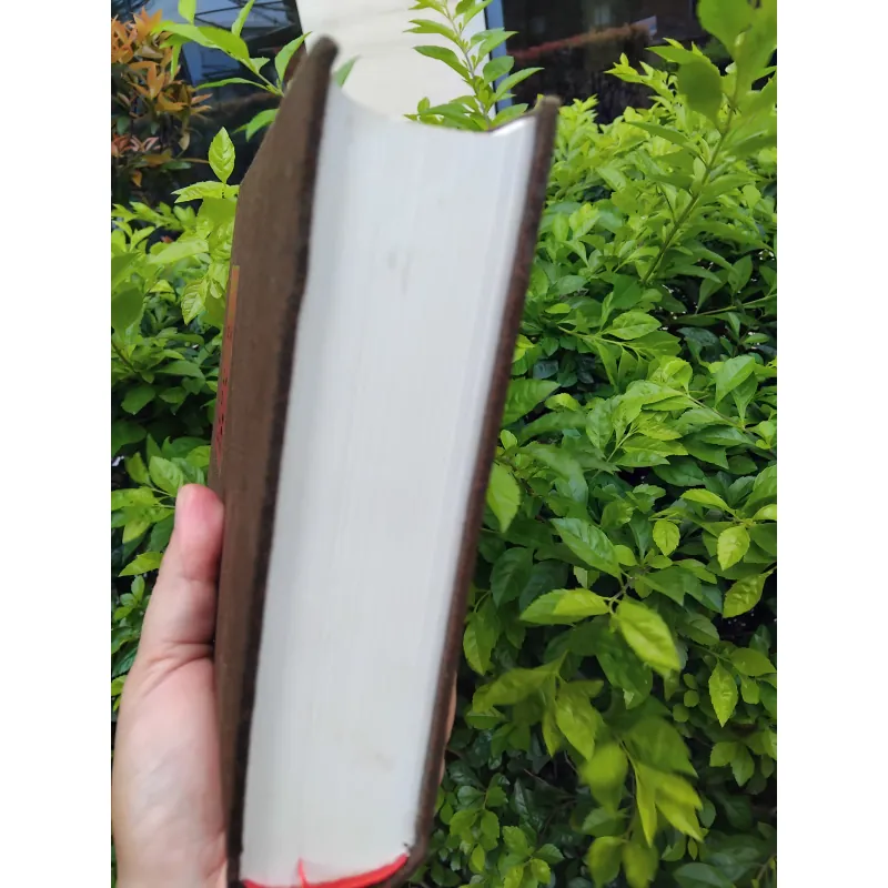 Leonardo Da Vinci của Walter Isaacson 972258