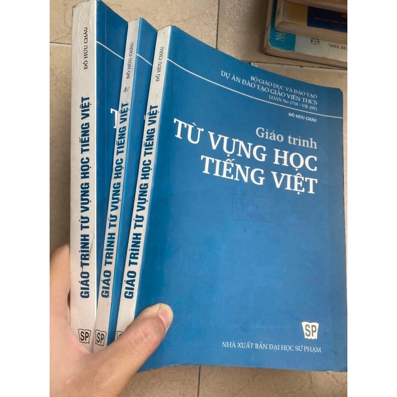 GIÁO TRÌNH TỪ VỰNG HỌC TIẾNG VIỆT - ĐỖ HỮU CHÂU 519142