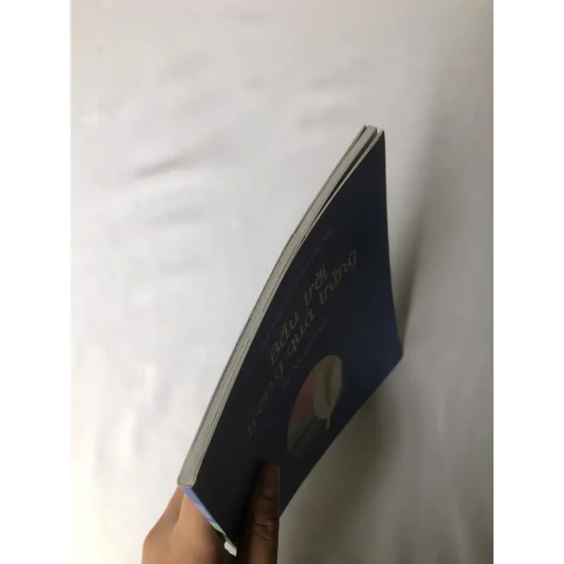 Bầu Trời Trong Quả Trứng - Xuân Quỳnh 694101