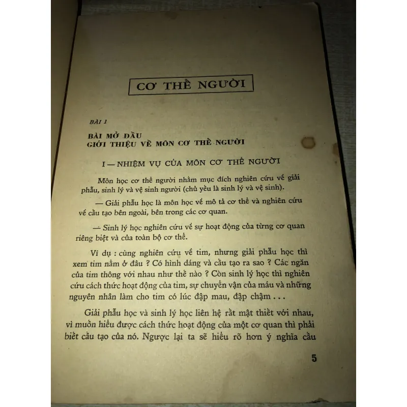 Sinh vật bổ túc văn hoá 994855