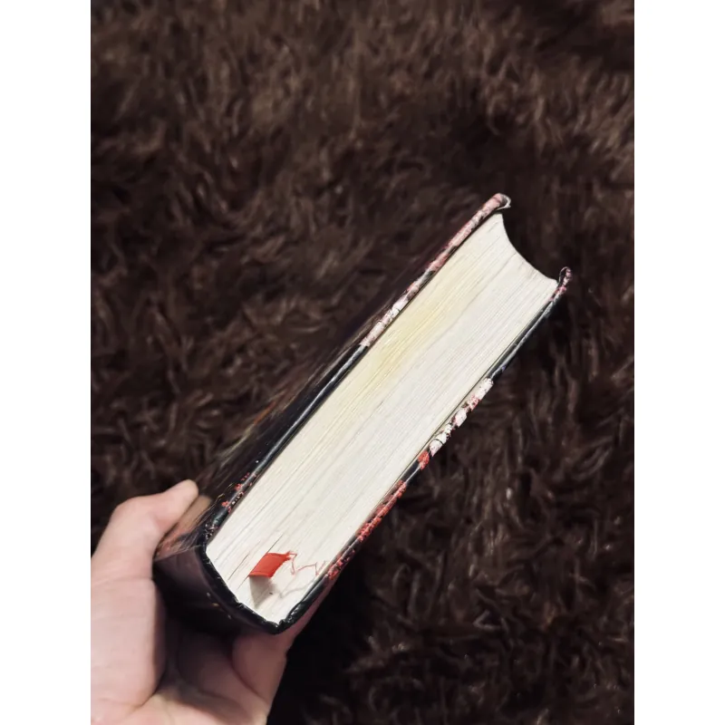 Rừng xanh lá đỏ 1001641