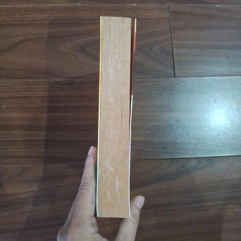 Kế hoạch mai mối 508867