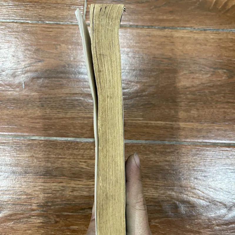 Tiến trình lịch sử Việt Nam - Nguyễn Quang Ngọc (6) 760431