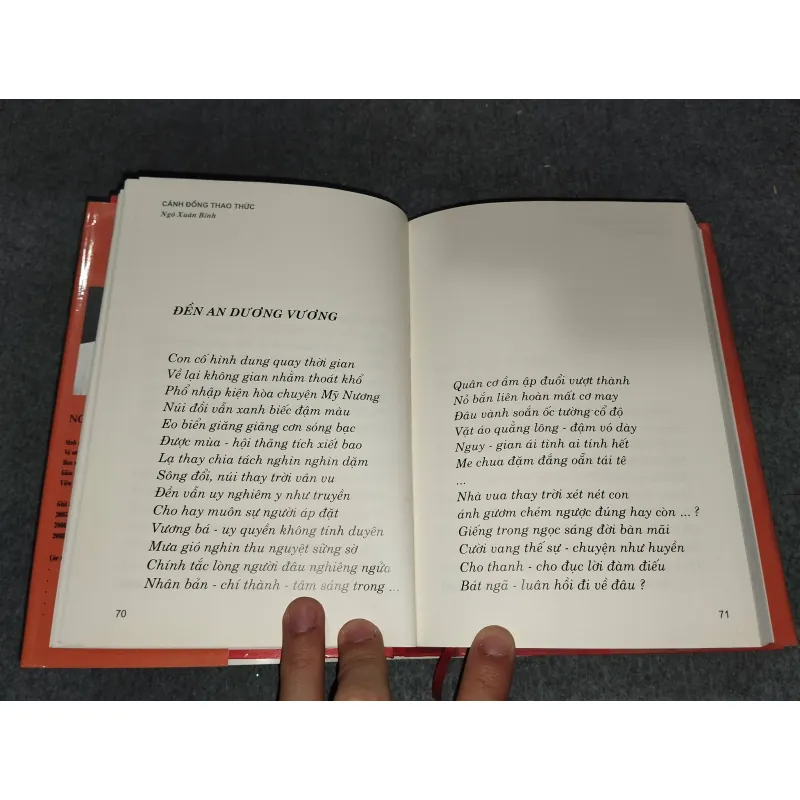 CÁNH ĐỒNG THAO THỨC - NGÔ XUÂN BÍNH 729325