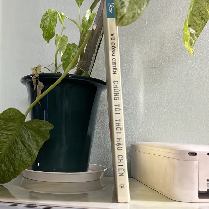 Chúng tôi thời hậu chiến - Vũ Công Chiến 750722