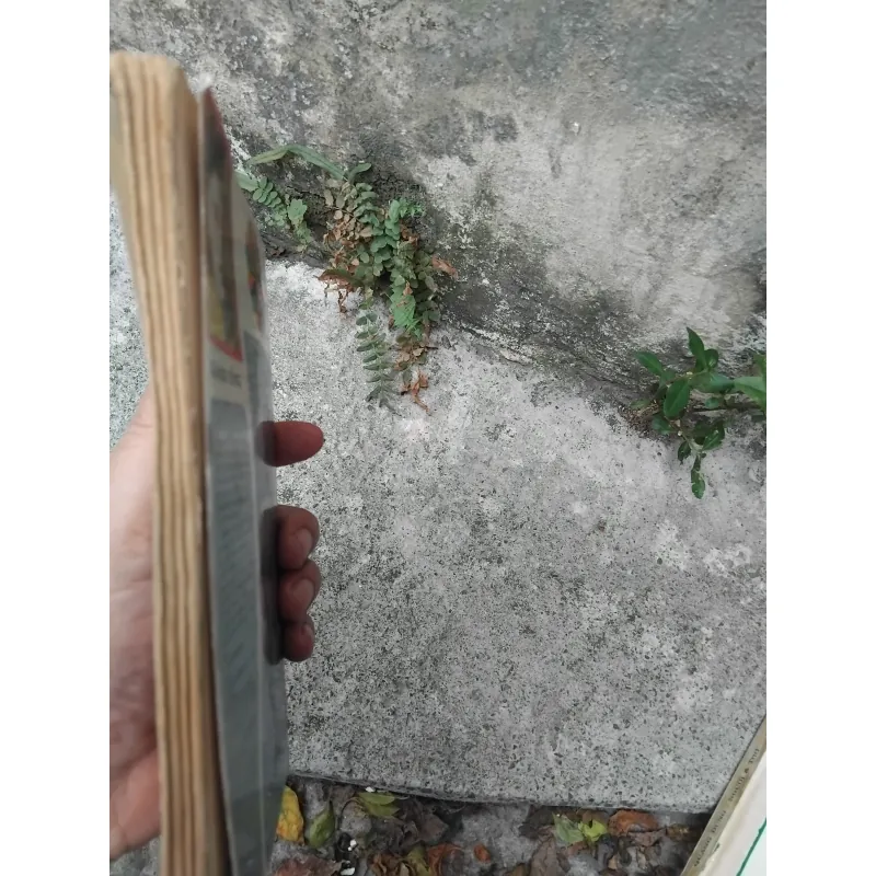 Quang Dũng người và thơ ( bản in đầu ) 1023975