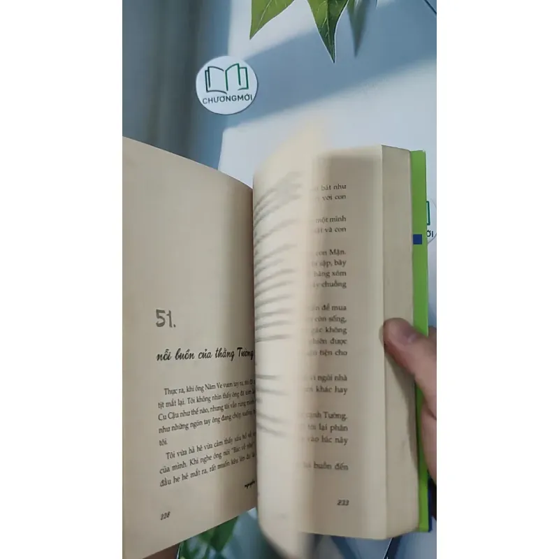 Tôi Thấy Hoa Vàng Trên Cỏ Xanh - Nguyễn Nhật Ánh 798349