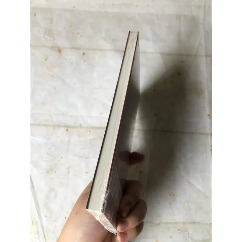 Abel: Một Truyện Siêu Hình Học Cao Bồi Viễn Tây - Alessandro Baricco 783098