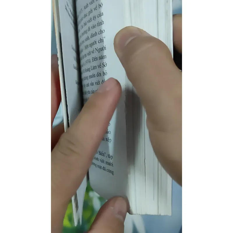 Gió Biển - Vũ Hoàng Lâm 798481