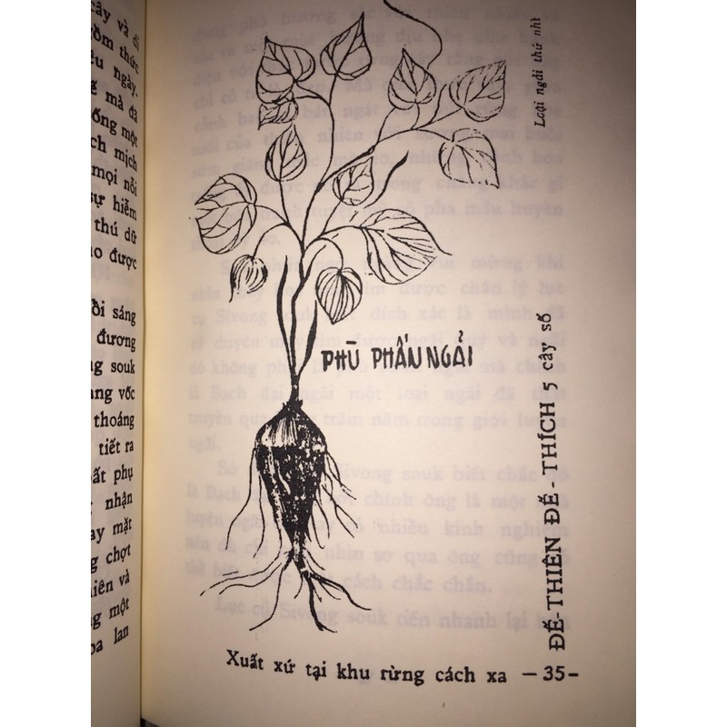 Tìm Hiểu Ngải Nghệ Huyền Bí – Huỳnh Liên Tử

 89644
