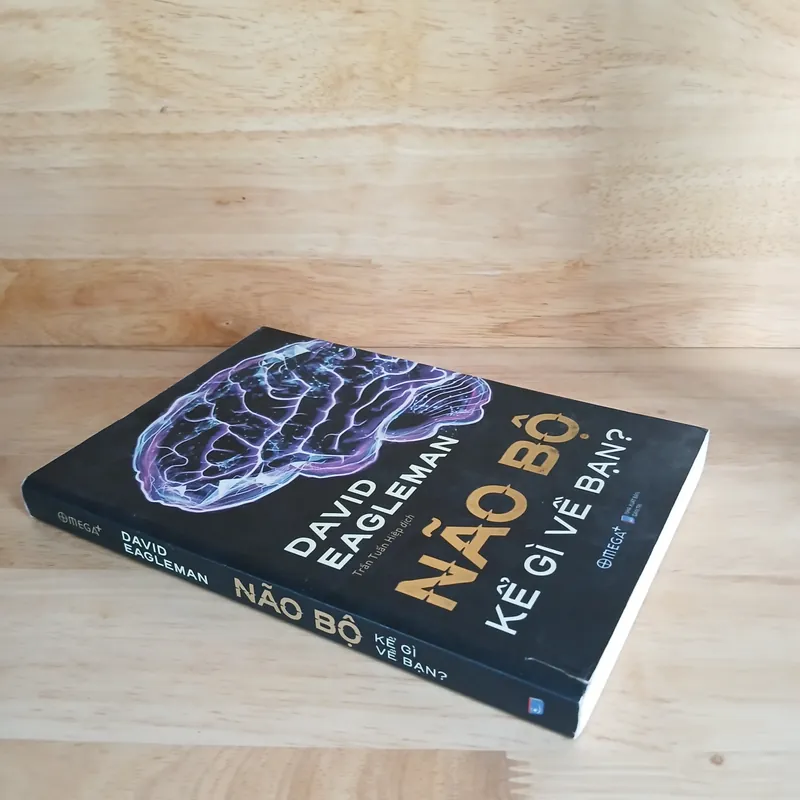 Não Bộ Kể Gì Về Bạn? - David Eagleman 673779
