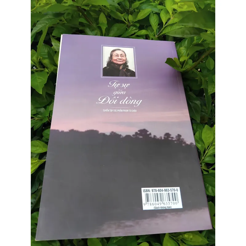 Tự sự giữa đôi dòng - Tuyển tập tác phẩm PGS TS Phạm Tú Châu  997349