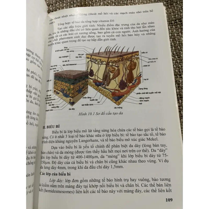 Mô học - PGS.TS.BS. PHAN CHIẾN THẮNG ; PGS.TS.BS. TRẦN CÔNG TOẠI; 240 trang khổ lớn  1021338