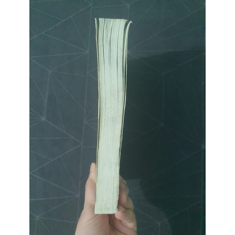 "Dấu tích người nước ngoài trong lịch sử Viẹt Nam" - Trần Thái Bình 493141
