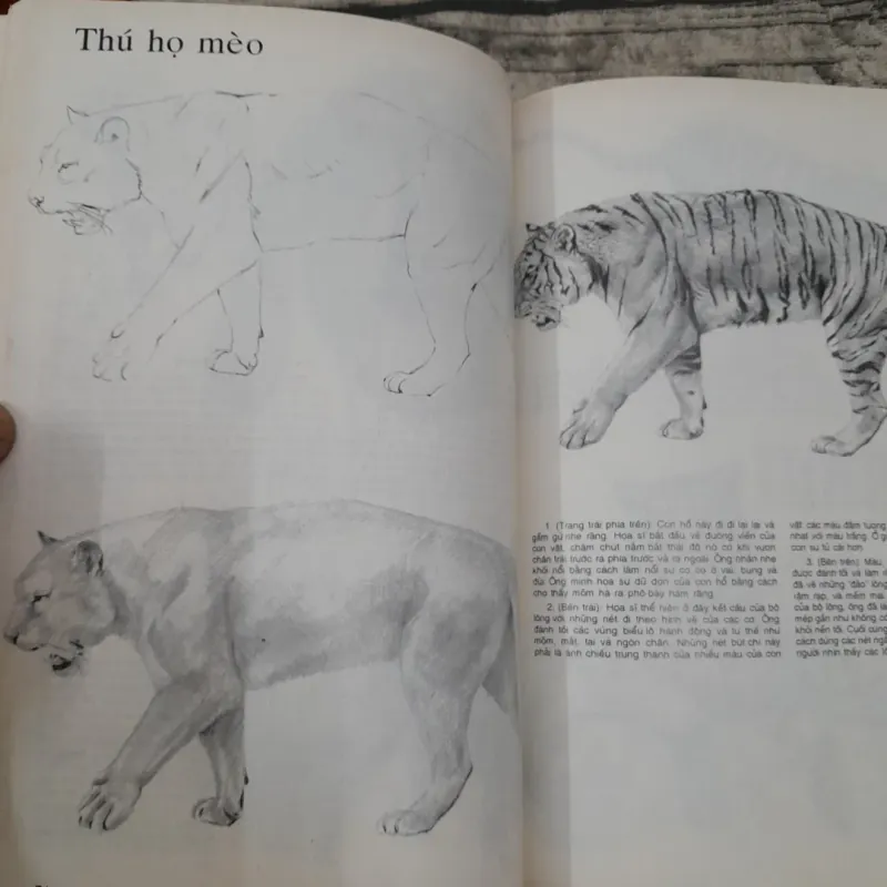 Sách dạy vẽ mỹ thuật- Bí quyết VẼ BÚT CHÌ. Tb lần 4. Huỳnh Ph. Hương Giang dịch 695468