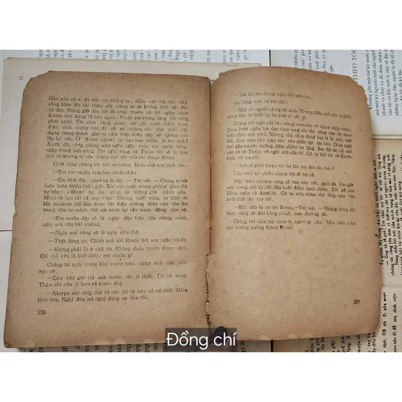 Tác phẩm văn học Ý: ĐỒNG CHÍ - nhà văn Cesare Pavese (in 1985,239 trang, gáy cũ, ruột tốt) 714652