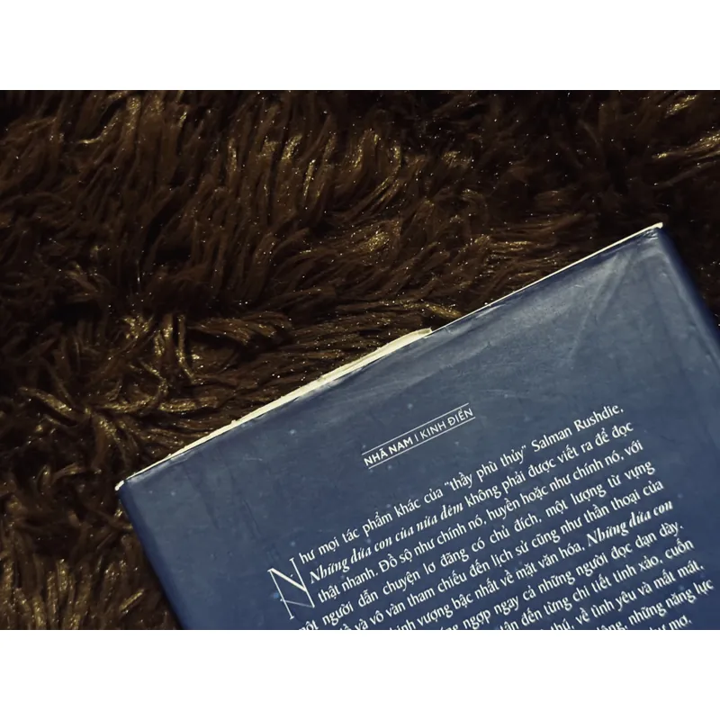 Những đứa con của nửa đêm 720007