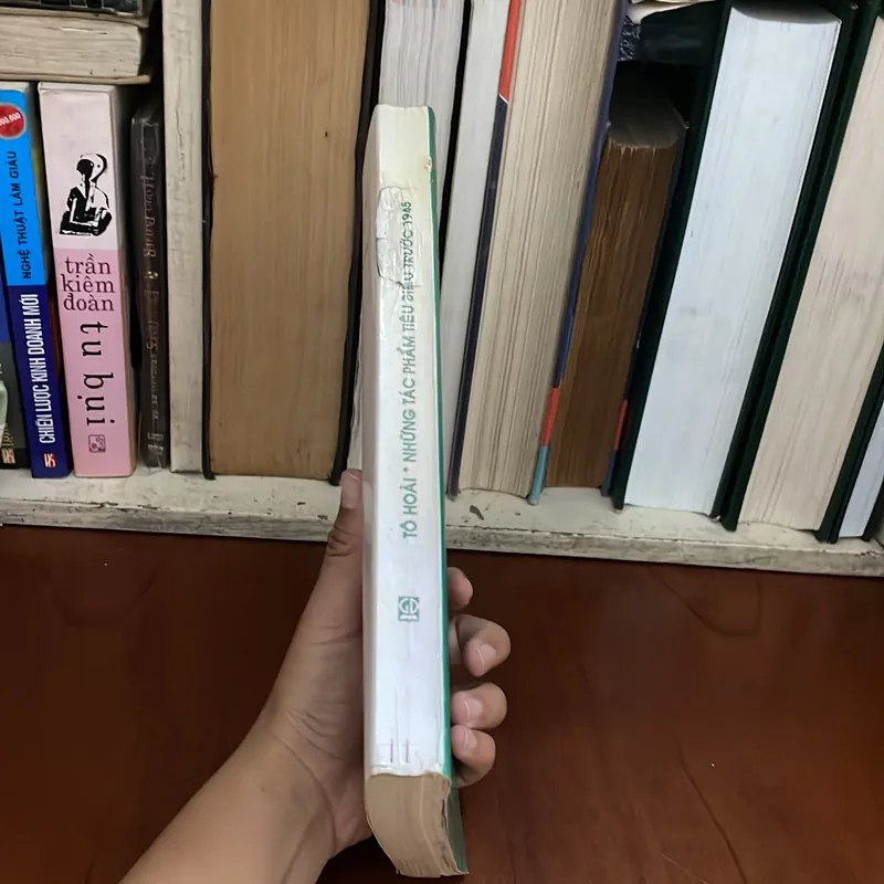 II Văn Học Việt Nam: Tô Hoài _ Những Tác Phẩm Tiêu Biểu Trước 1945 - 2003 576906