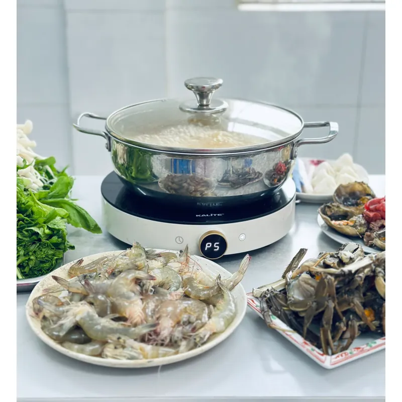 Bếp từ đơn Kalite Power S8 745783